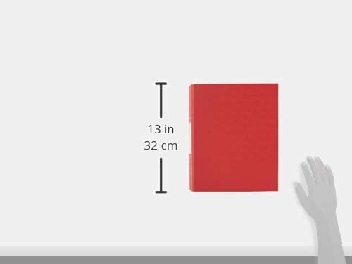 Q-Connect A4 2 Ring Binder 25mm – Assorted Colors, Pack of 10 – Durable & Lightweight