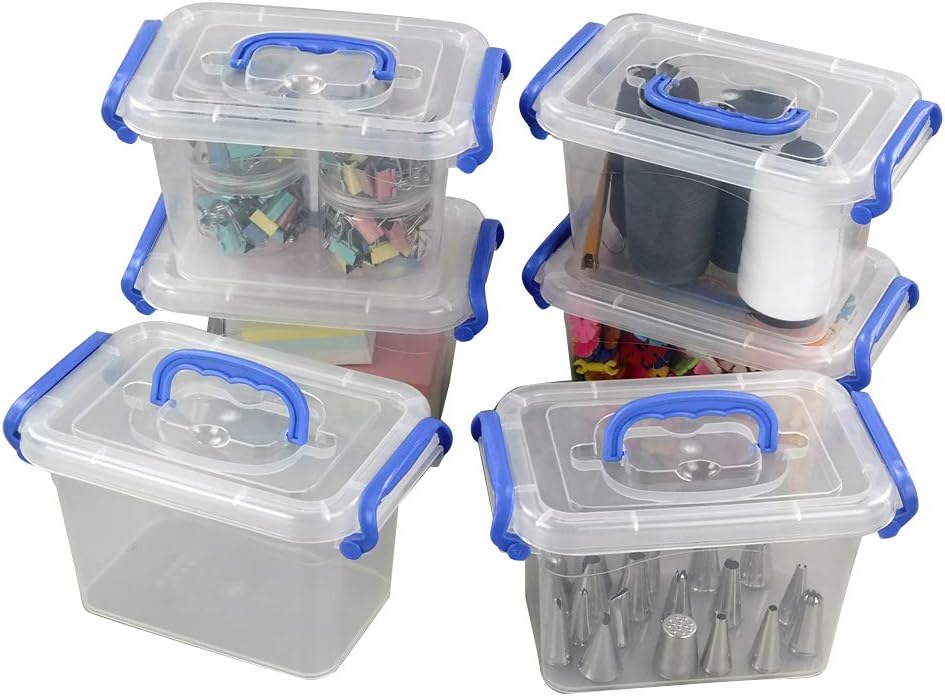 Mini Storage Boxes with Lids, 1.8 L Plastic Transparent Boxes Set of 6