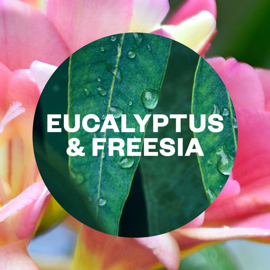 Air Wick Aerosol-Free Automatic Air Freshener Spray Kit, Eucalyptus & Freesia, 1 Gadget & 1 Refill (228ml), 24x7 Active Fresh Odour Neutraliser, Lasts Up to 70 Days, Air freshener For Home