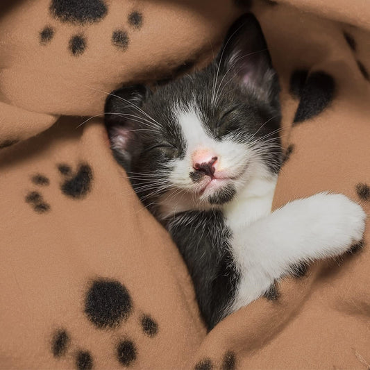 3 Pack Soft Flannel Pet Blankets - Machine Washable, Lightweight, Cozy for Dogs & Cats