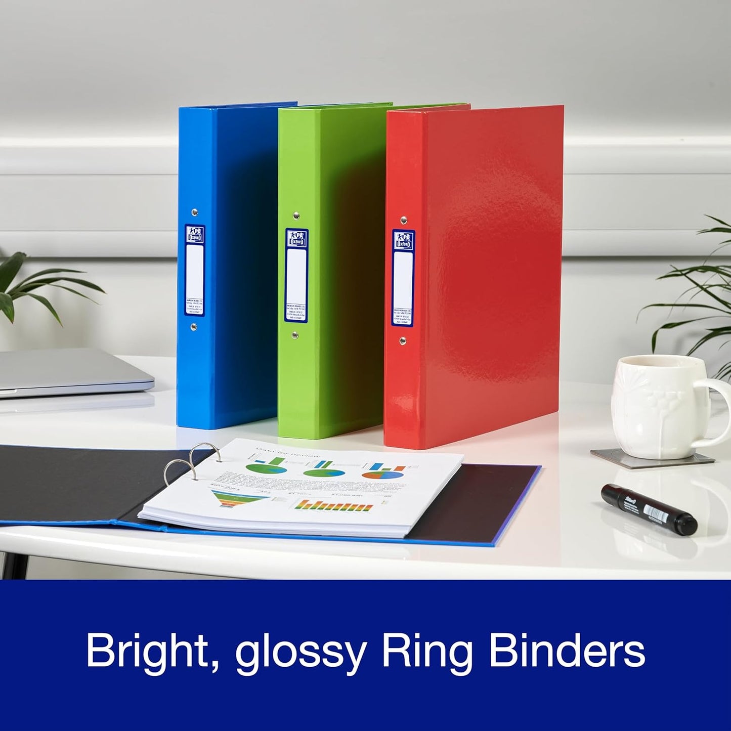 Oxford A4 Ring Binders 40mm – Pack of 3, Red Green Blue Durable Office Folders