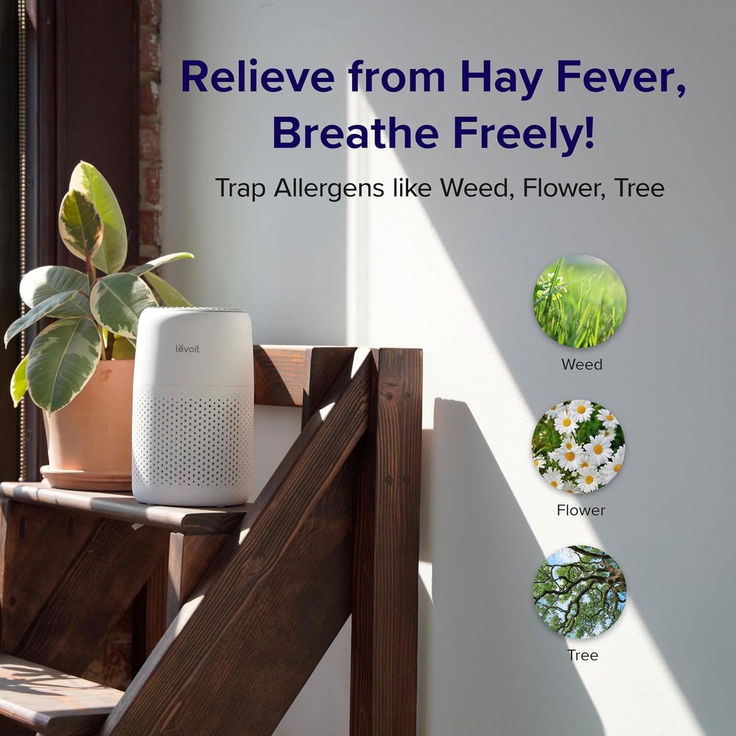 LEVOIT HEPA Air Purifier for Bedroom โ Quiet, Odor Remover for Smoke, Pets & Dust
