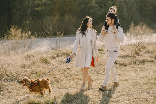 Retractable Dog Leash – Tangle-Free, Heavy Duty, One-Hand Brake & Lock, Nylon Tape