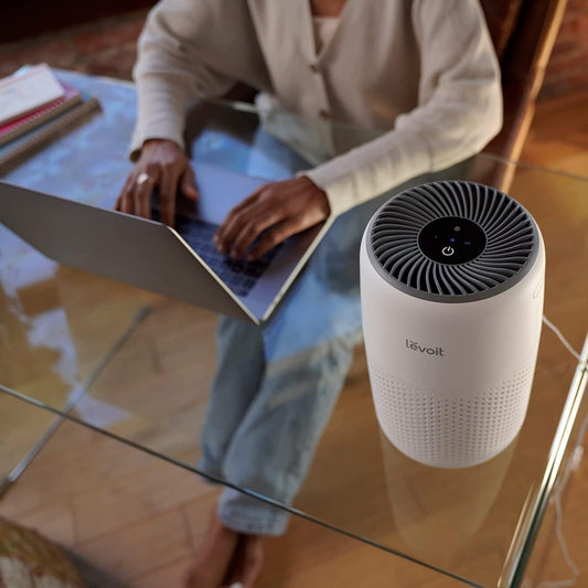 LEVOIT HEPA Air Purifier for Bedroom – Quiet, Odor Remover for Smoke, Pets & Dust
