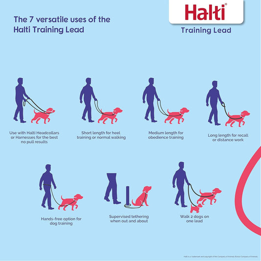 HALTI Professional No-Pull Dog Lead – Lightweight, Durable, Easy Puppy Training Leash