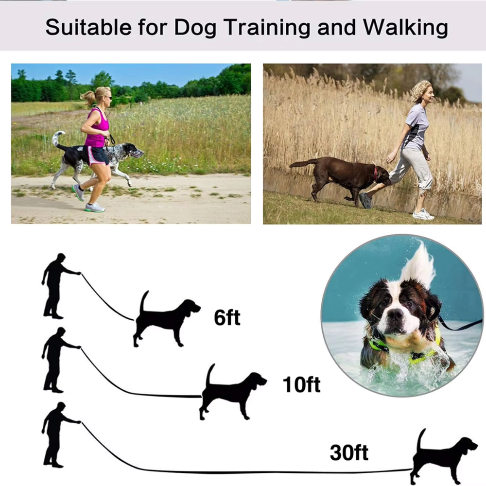 Dog Leash Rope Nylon Multi Colours and Sizes