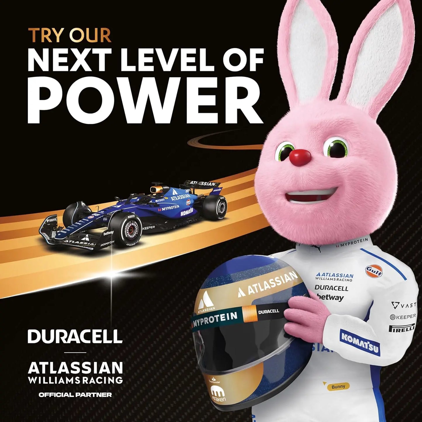Duracell Plus AAA Batteries (24 Pack)