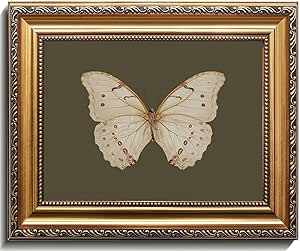 Uniro Vintage Gold Framed Wall Art, Classical Butterfly Oil Paintings, Dark Moody Insect Canvas Prints Artwork with Antique Frame, Sage Green Wall Decor Pictures for Bedroom, Kitchen, Shelf, Bathroom Brand: uniro