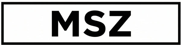 MSZ Traders